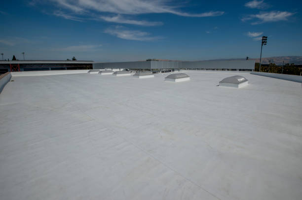 Best Commercial Roofing Services  in Moenkopi, AZ