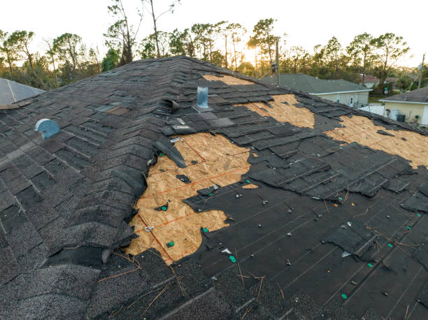 Best Roof Maintenance and Cleaning  in Moenkopi, AZ
