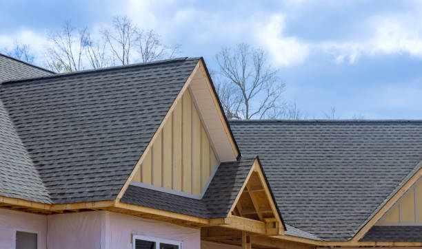 Best Metal Roofing Installation  in Moenkopi, AZ