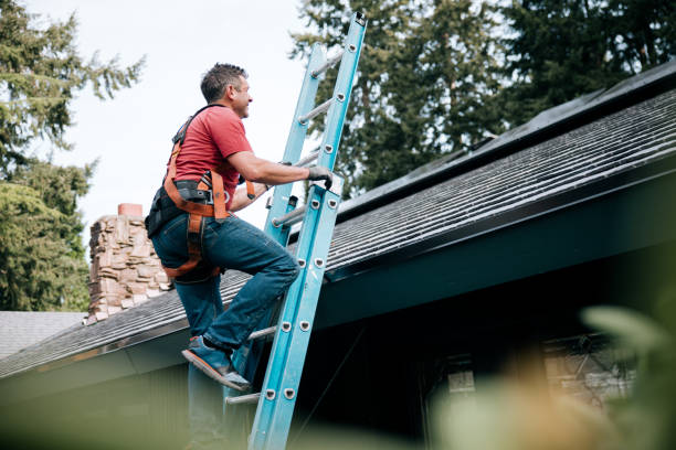 Best Roof Leak Repair  in Moenkopi, AZ