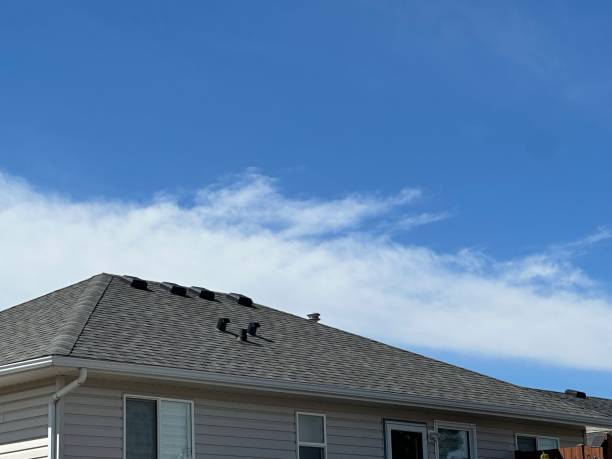 Best Asphalt Shingles Roofing  in Moenkopi, AZ